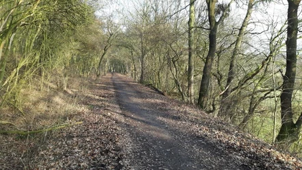 4EDE_RadwegHaldorf