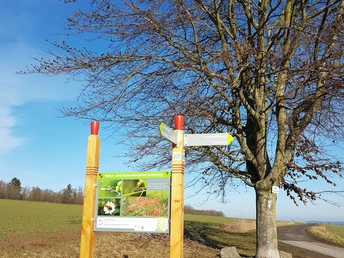 Natur und Kulturlehrpfad Holzburg