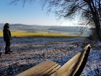 Aussicht und Waldliege