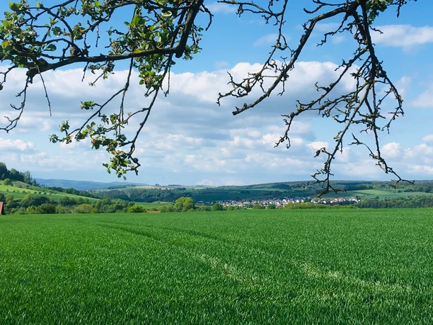 Ausblick am B5