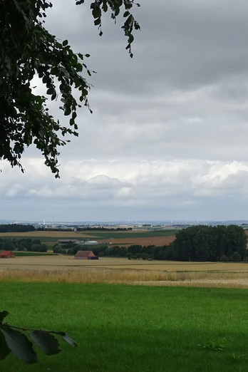 Breuna Blick zur Desenbergruine