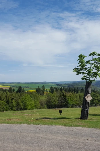 Wildpark Frankenberg