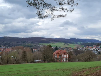 Blick auf Oberaula und zum Eisenberg
