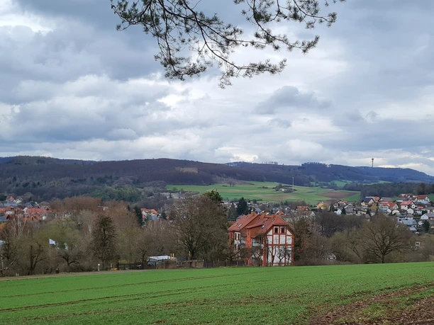 Blick auf Oberaula und zum Eisenberg