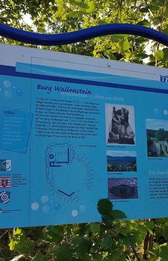 Efze Vital Infotafel