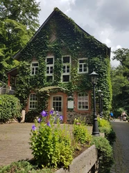 Hohlebach Mühle Homberg (Efze)