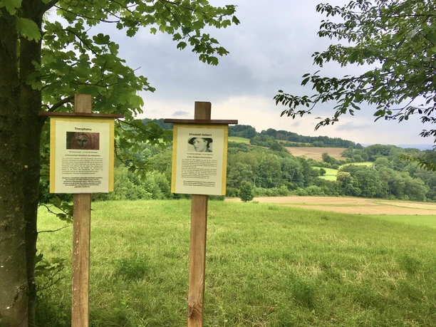 Wandern, Frauen unterWEGs Sommer, Imshausen, Kommunität, Bebra