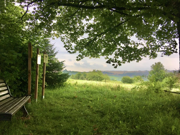 Wandern, Frauen unterWEGs Sommer, Imshausen, Kommunität, Bebra