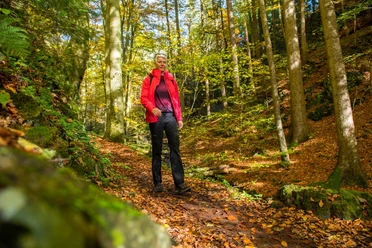 auf dem Habichtswaldsteig im Firnsbachtal bei Schauenburg