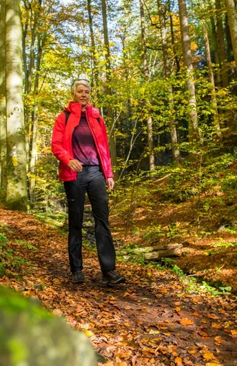 auf dem Habichtswaldsteig im Firnsbachtal bei Schauenburg