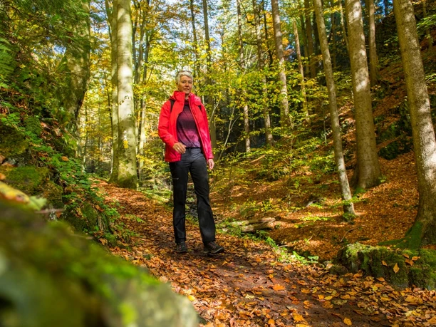 auf dem Habichtswaldsteig im Firnsbachtal bei Schauenburg
