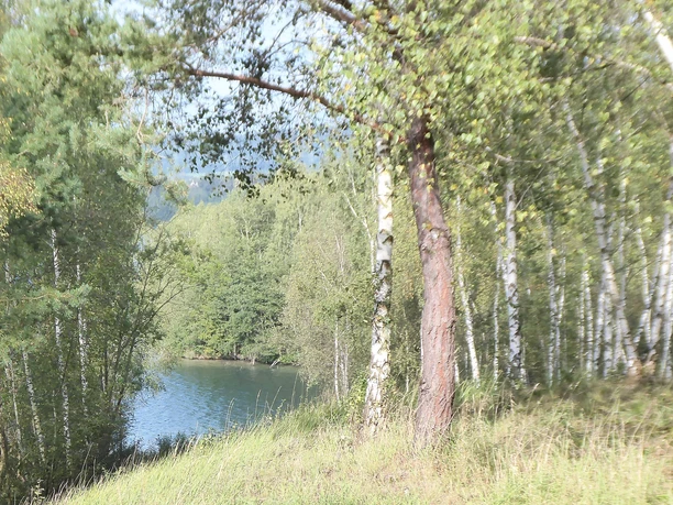 Blick auf den Borkener See