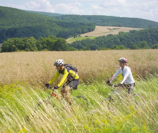 csm_Mountainbiker_bei_Albungen_a0149e0bd8