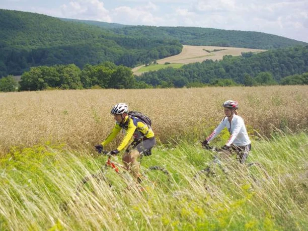 csm_Mountainbiker_bei_Albungen_a0149e0bd8