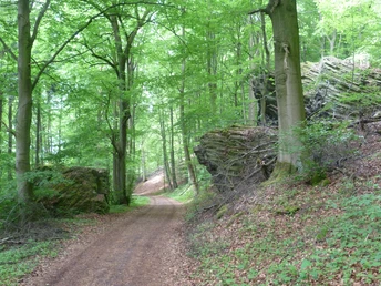 Bismarckturm, Porta Lapidaria