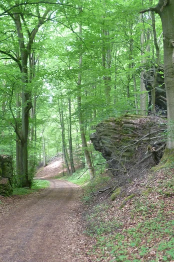 Bismarckturm, Porta Lapidaria