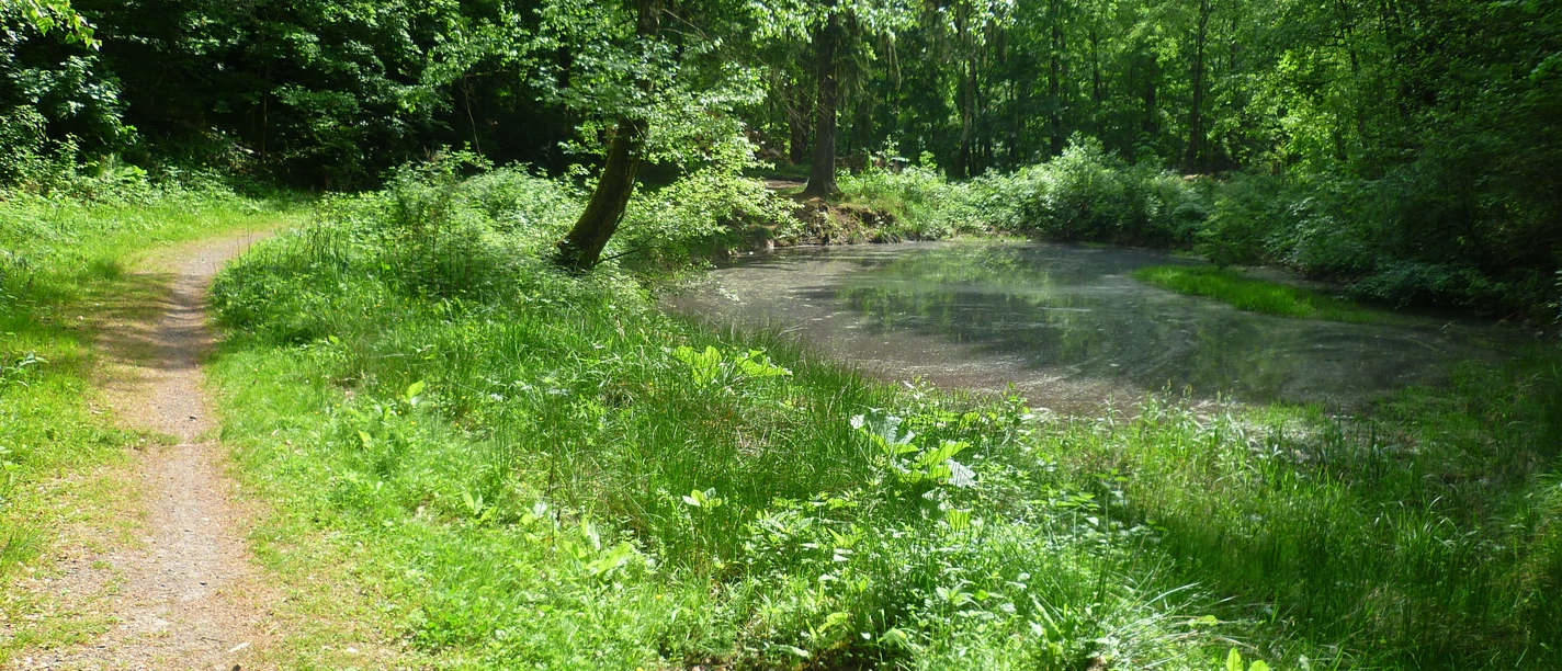 Bismarckturm, Sieben Teiche