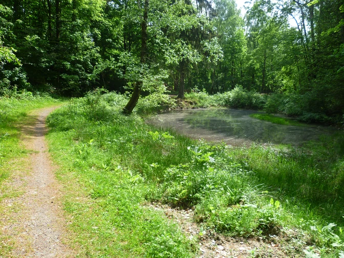 Bismarckturm, Sieben Teiche
