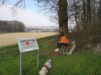 Tafel erklären die archäologischen Funde