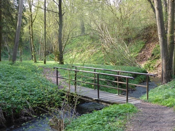Brücken im Sunderbachtal
