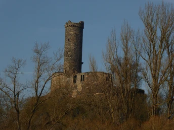 Blick auf die Altenburg