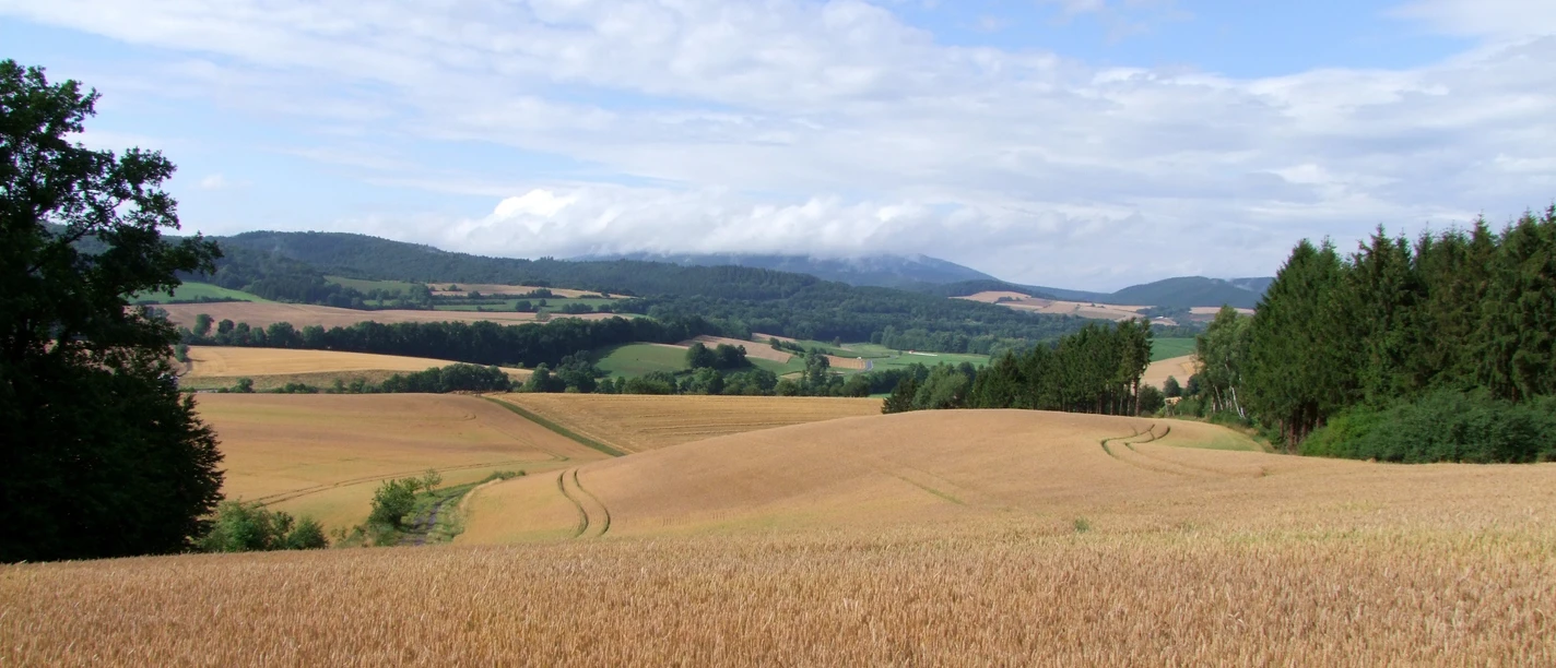 Feldlandschaft am p17 (c) Susanne Pfingst