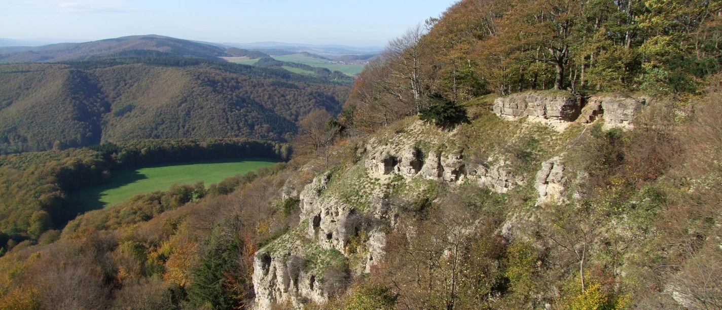 P16 Dietzenröder Klippen Felsabbruch(c)Susanne Pfingst