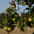 bad_zwesten_burg_loewenstein_aepfel