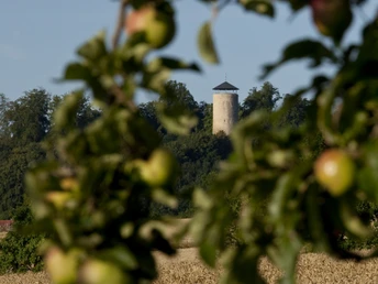 bad_zwesten_burg_loewenstein_aepfel