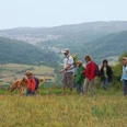 Wanderfamilie am Dornbergpass, Premiumweg P8