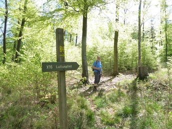 Lulluspfad Kellerwald