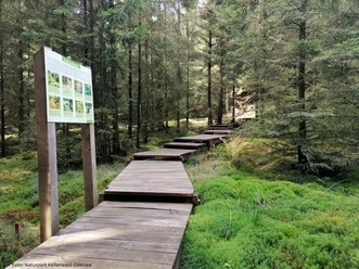 Moorpfad_2