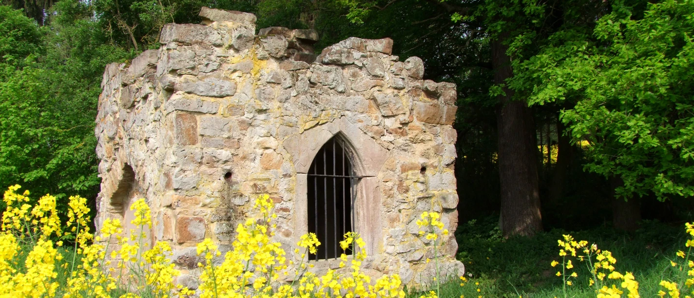 P11_Gut Windhasuen Mausoleum mit Rapsblüte (c) Susanne Pfingst