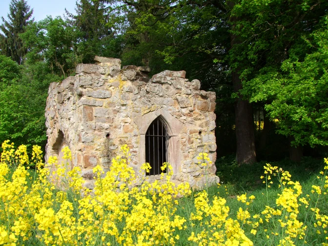 P11_Gut Windhasuen Mausoleum mit Rapsblüte (c) Susanne Pfingst