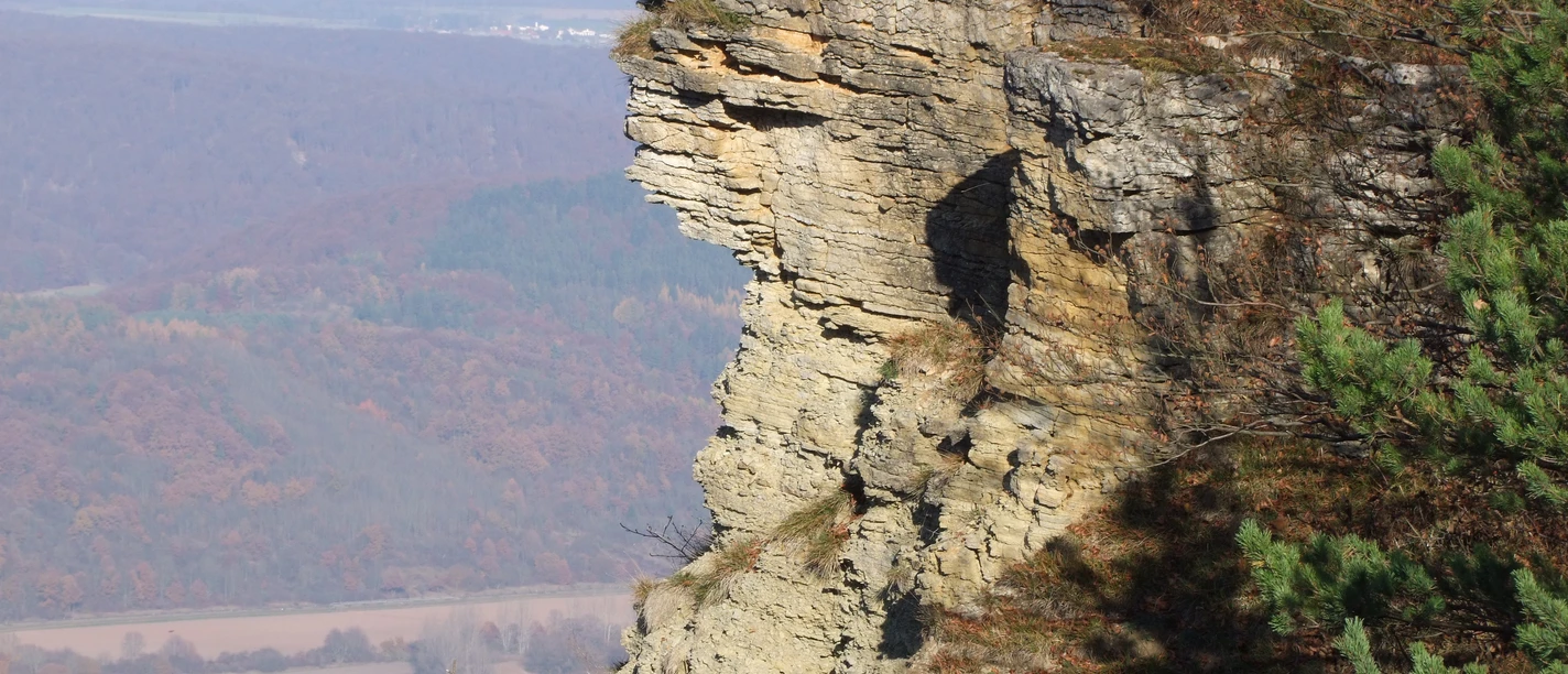 P6_Heldrastein Fels Herbst 2 (c) Marco Lenarduzzi