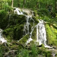 Wanderweg P5, Wasserfall Elfengrund