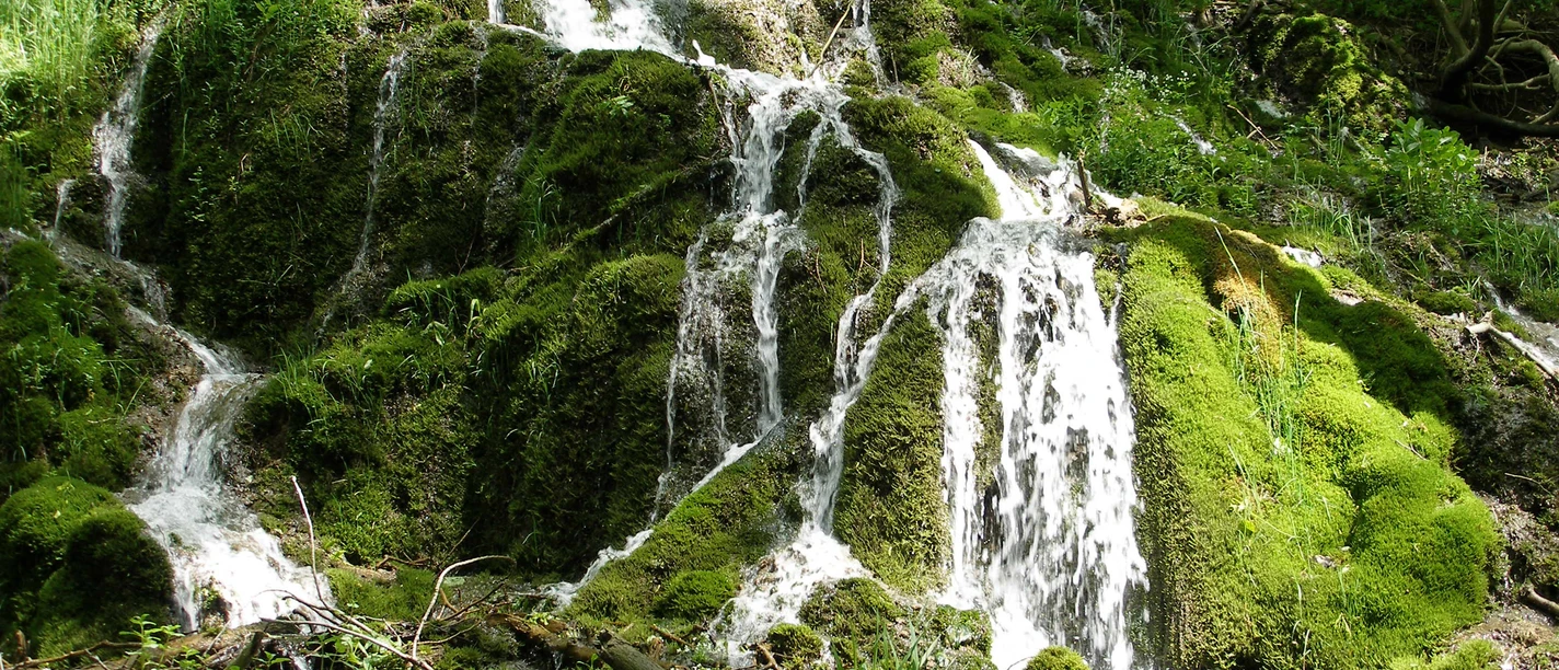 Wanderweg P5, Wasserfall Elfengrund