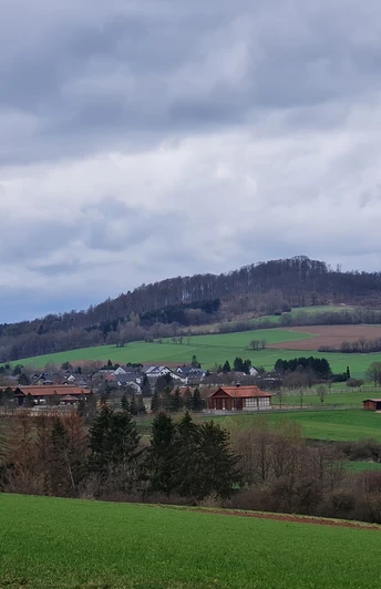 Blick nach Hausen und zum Gestüt Höny Hof