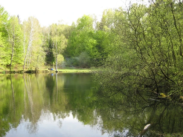 Grüner See