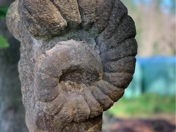 "Das goldene Vlies" Ars Natura Runde Spangenberg