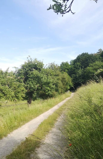 Bergheimer Eselsrunde