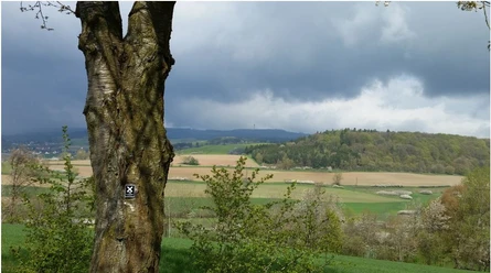 Lulluspfad Blick ins Aulatal