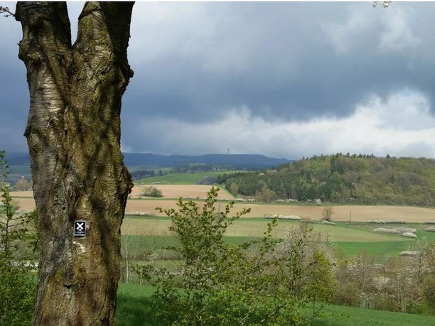 Lulluspfad Blick ins Aulatal