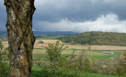 Lulluspfad Blick ins Aulatal