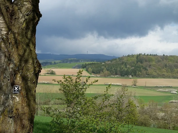 Lulluspfad Blick ins Aulatal