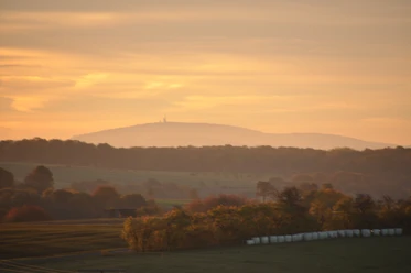 Am Morgen-Blick zum Inselsberg vom P13