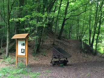 Alter Steinbruch am Natur und Kulturlandschaftslehrpfad Merzhausen
