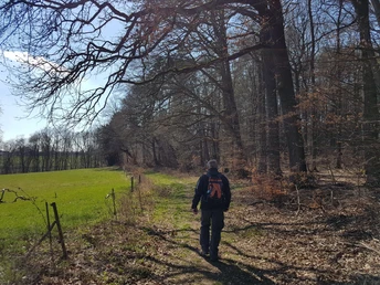 Wanderweg am Waldrand