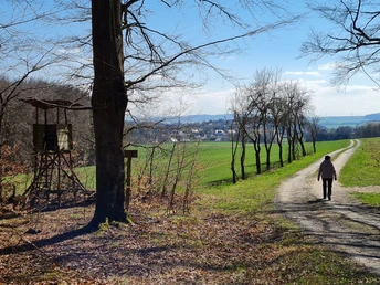 Mit schöner Aussicht zurück nach Mengsberg