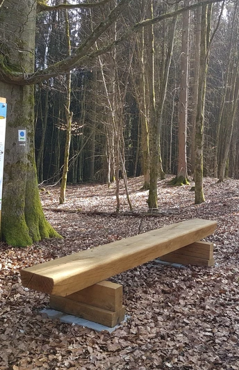 "Durch Raum und Zeit"